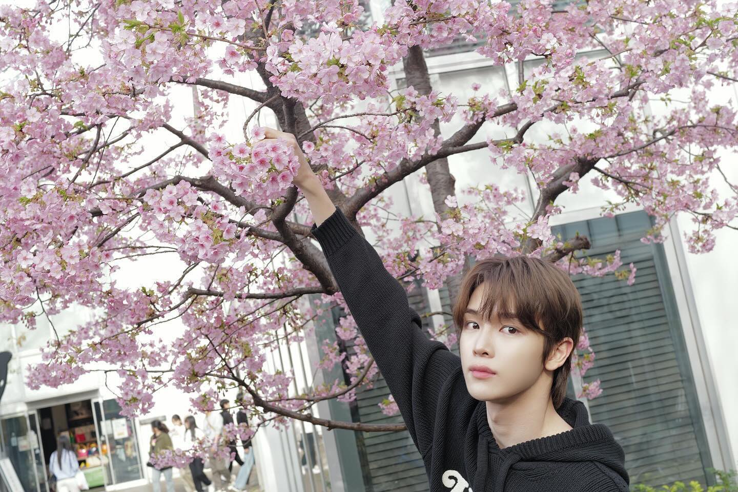 [잡담] 정성찬이 내일 해야할 일 | 인스티즈