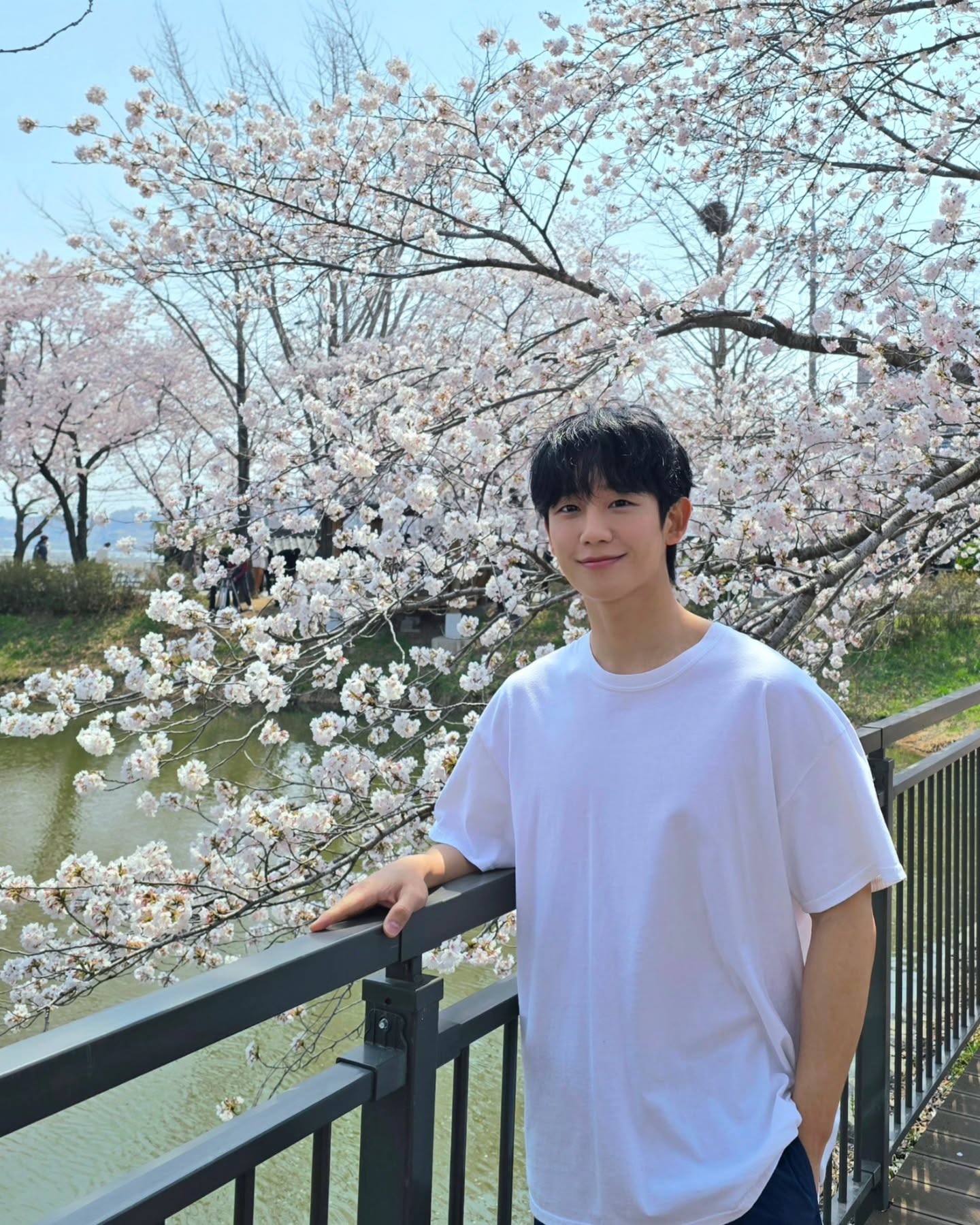[정보/소식] 정해인 인스타그램 벚꽃사진 업데이트 | 인스티즈