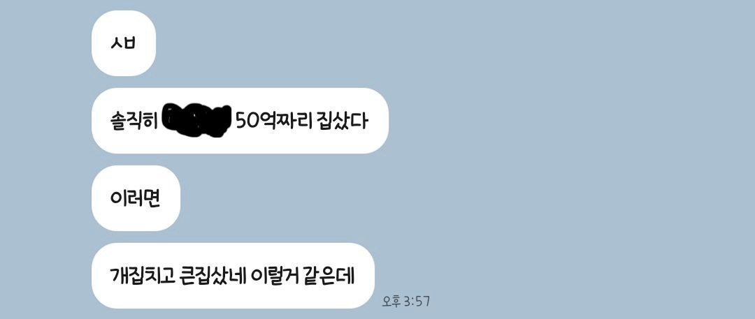 [잡담] 아 친구들이랑 자기 돌이 집 사면 어떨지 얘기하는데 | 인스티즈