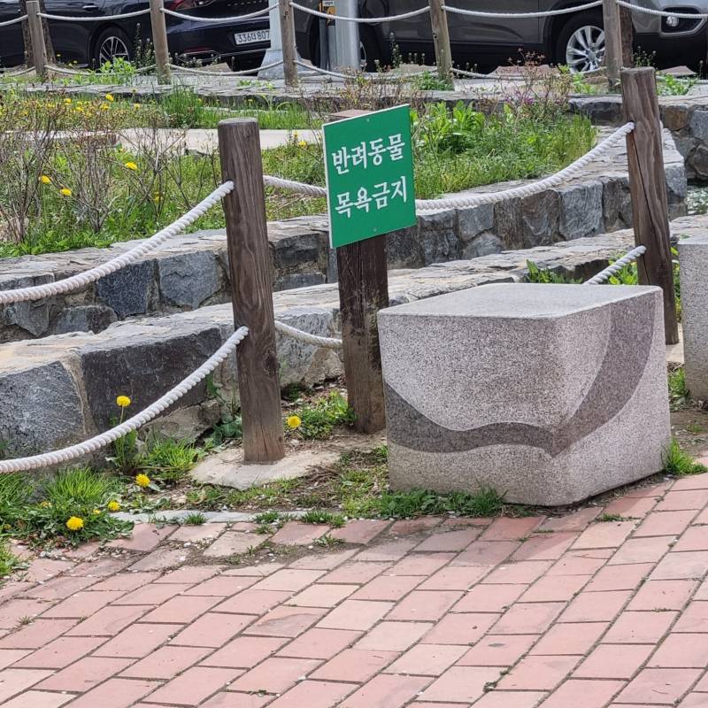 [잡담] 공원에서 반려동물 목욕시키는 사람도 있나 | 인스티즈