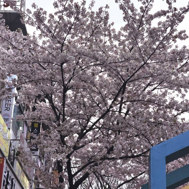 [잡담] 얘들아 여기서 우산 찾아봐 | 인스티즈