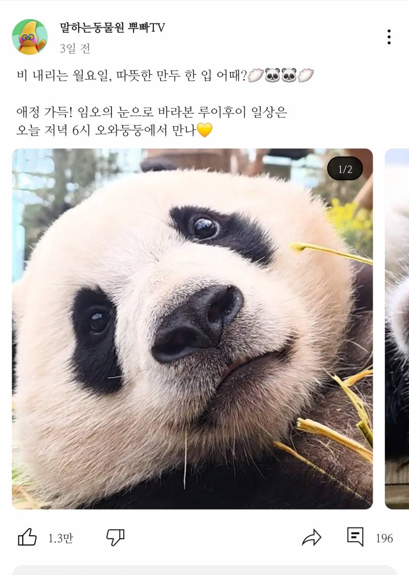 [잡담] 사육사들 대체 뽀갈 어케 참고 일하냐 | 인스티즈