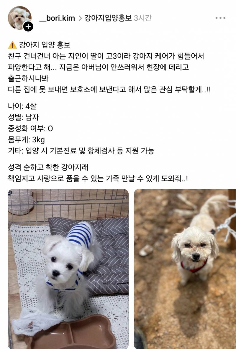 [잡담] 진짜 이런거 보면 너무 가슴아파 | 인스티즈