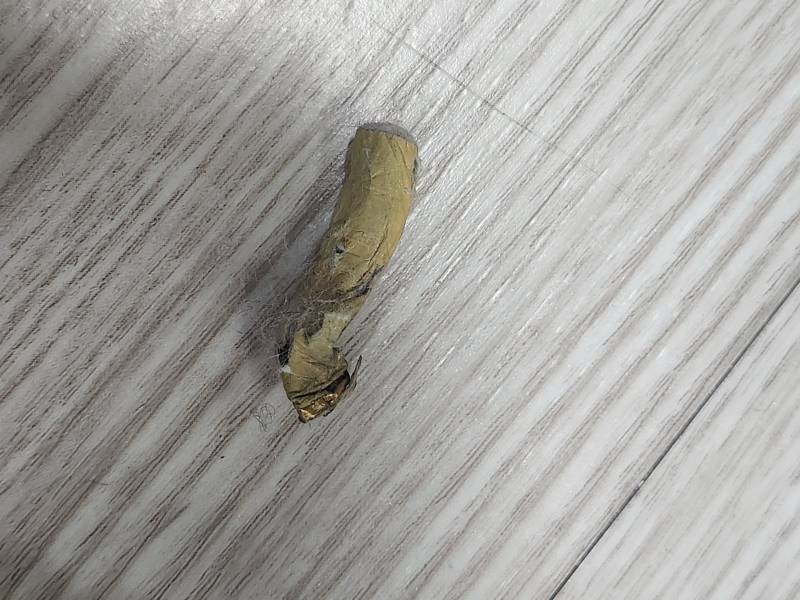 [잡담] 인형 안에서 담배꽁초같은게 나왔는데 담배같아? | 인스티즈