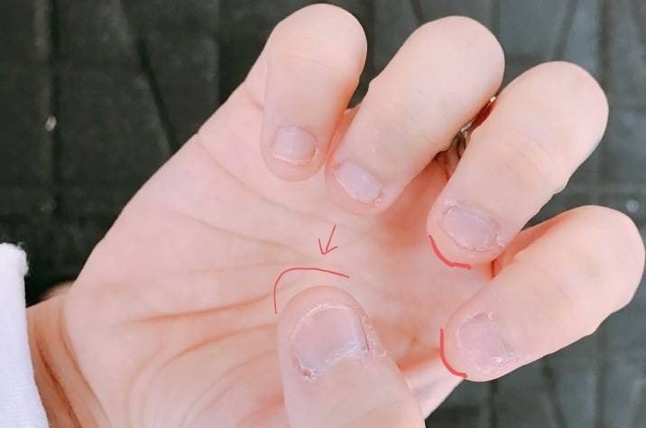 [잡담] 칼림바 아는사람 있어? 이런건 어떤 ㄱ자식이 만들었을까.. | 인스티즈