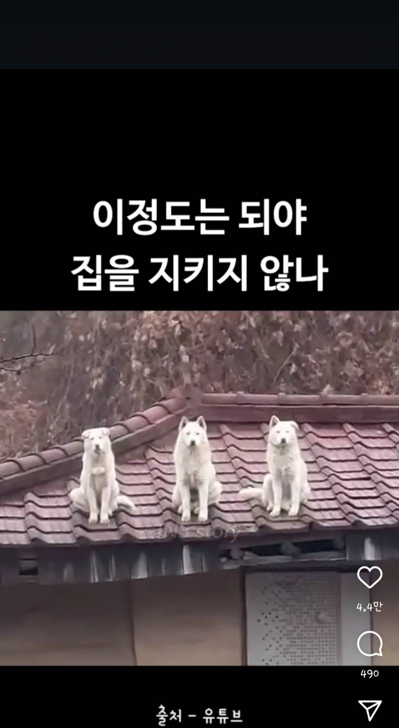 [잡담] 얘네 귀모양봐 ㅋㅋㅋㅋㅋㅋㅋㅋㅋㅋㅋㅋㅋㅋ | 인스티즈