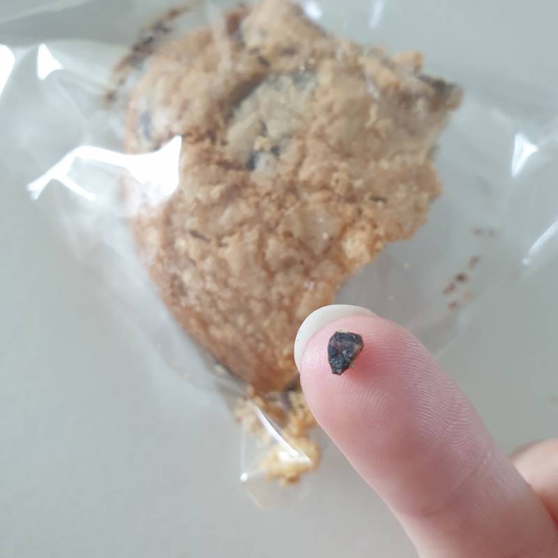 [잡담] 초코쿠키에 절대 안씹히는 뭔가가 나왔는데 | 인스티즈
