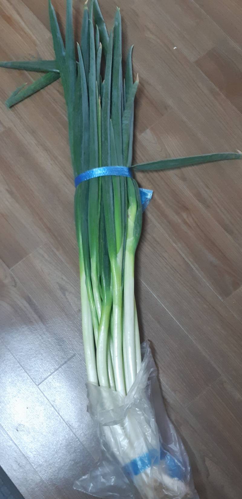 [잡담] 대파 이거 얼마게?? | 인스티즈
