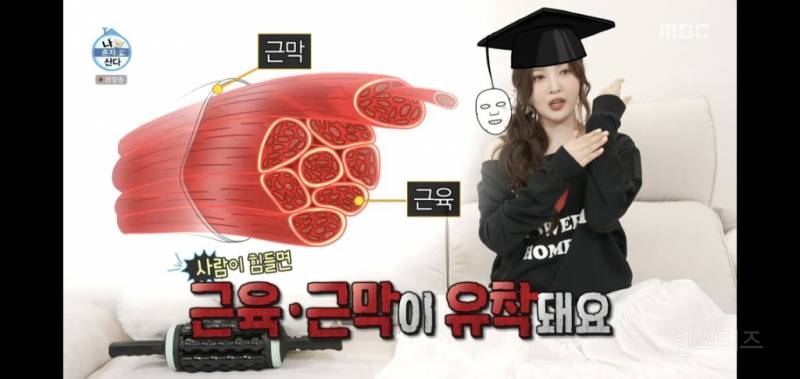 예능 보면서 제발 ppl이었으면 정겠다고 생각한적 첨이다 -조이편- | 인스티즈