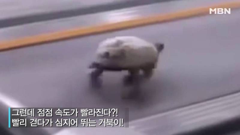 [잡담] 아바디 걍 이거였음 | 인스티즈