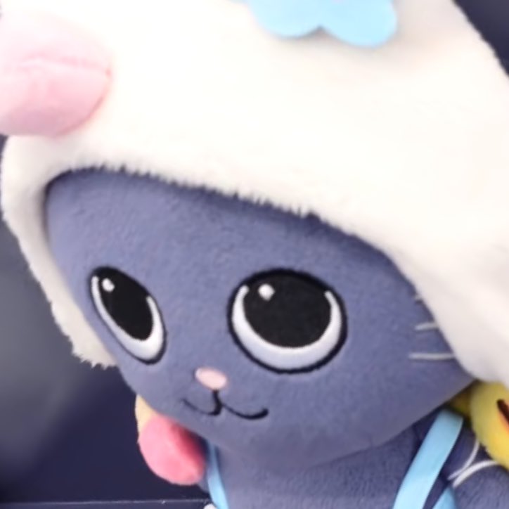 [잡담] 원빈이 진짜 냥덕이랑 똑같이생겻네 | 인스티즈