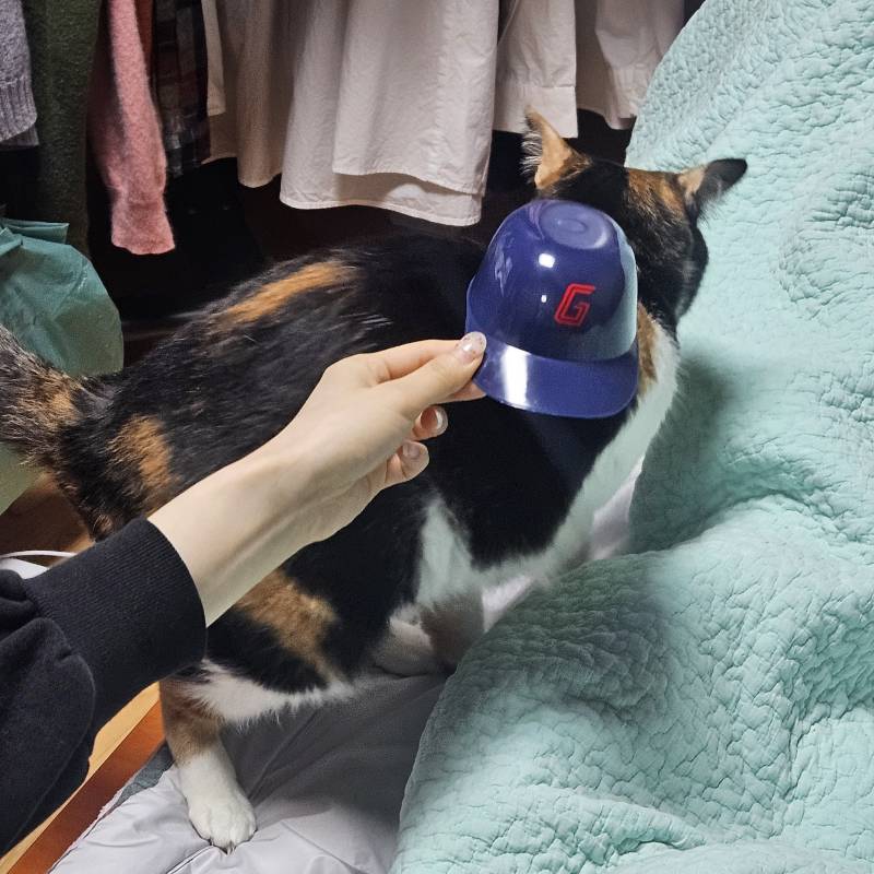 [잡담] 롯데자이언츠 입단거부사태 | 인스티즈