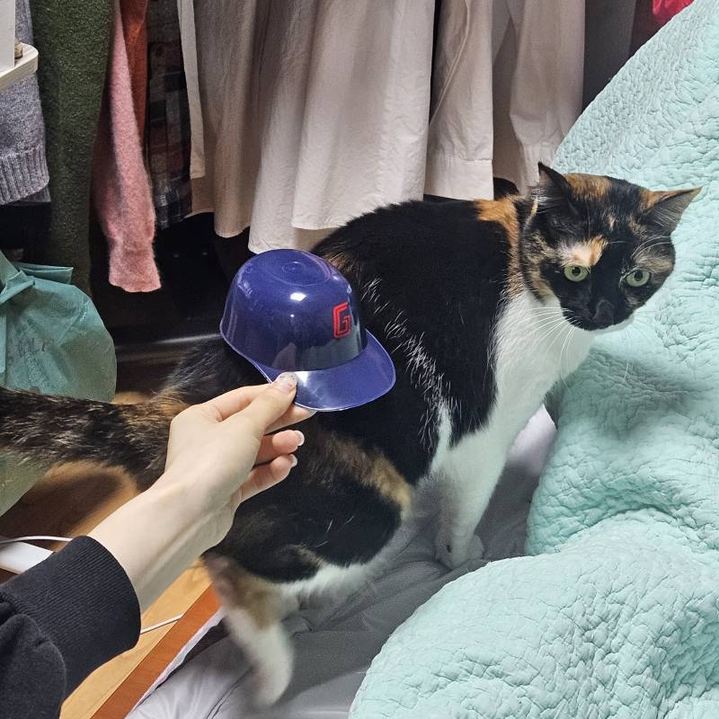 [잡담] 롯데자이언츠 입단거부사태 | 인스티즈