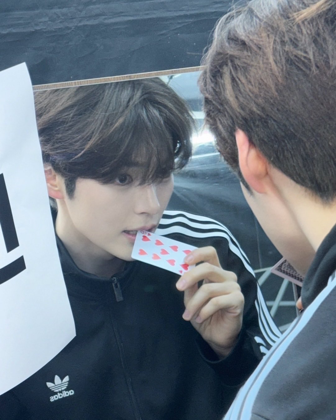 [잡담] 이 머리색 코토리 베이지임?? 탈색 없이 ㄱㄴ ?? | 인스티즈