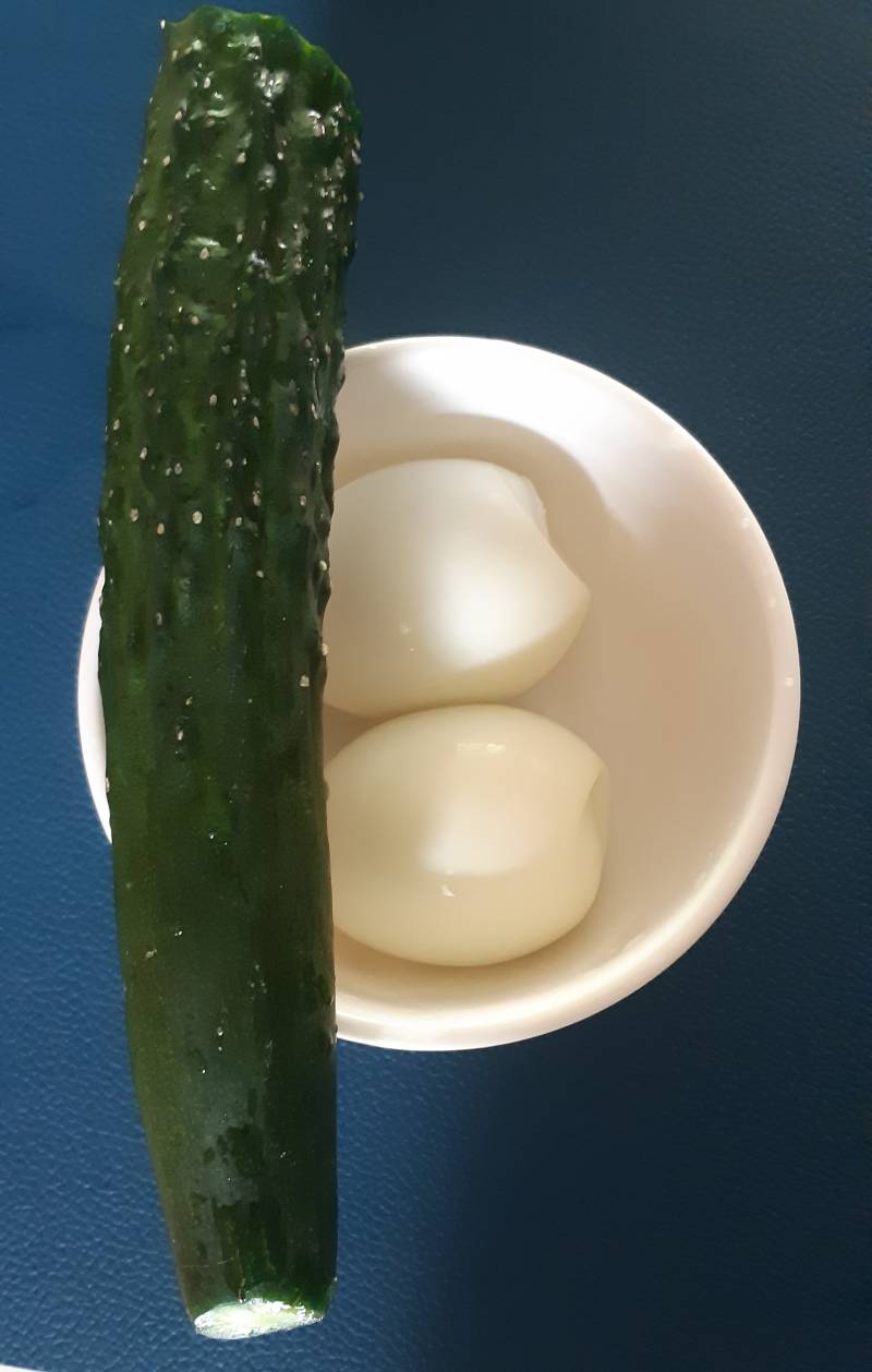 [잡담] 간단한 점심🥚🥒 | 인스티즈