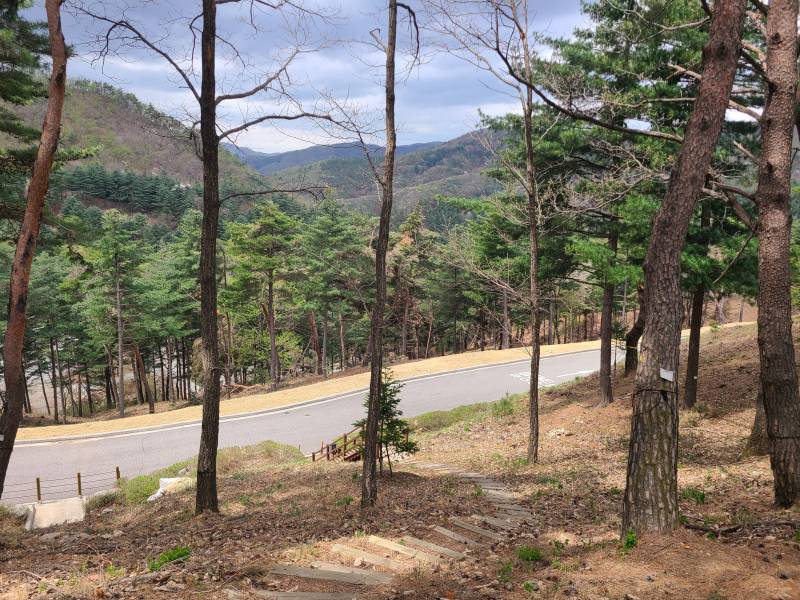 [잡담] 울아빠 추모원왓는데 여기만오면 산림욕하는 느낌임 | 인스티즈