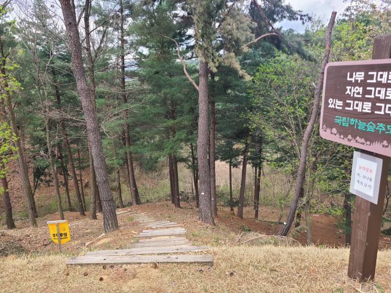 [잡담] 울아빠 추모원왓는데 여기만오면 산림욕하는 느낌임 | 인스티즈
