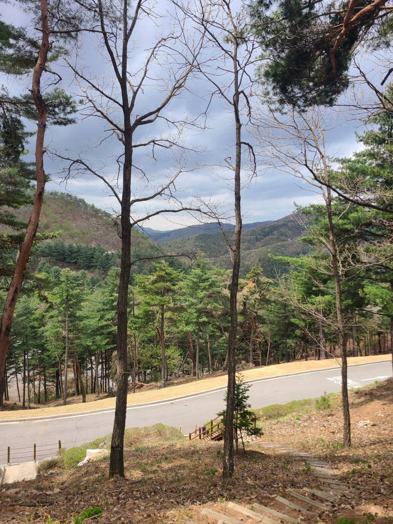 [잡담] 울아빠 추모원왓는데 여기만오면 산림욕하는 느낌임 | 인스티즈