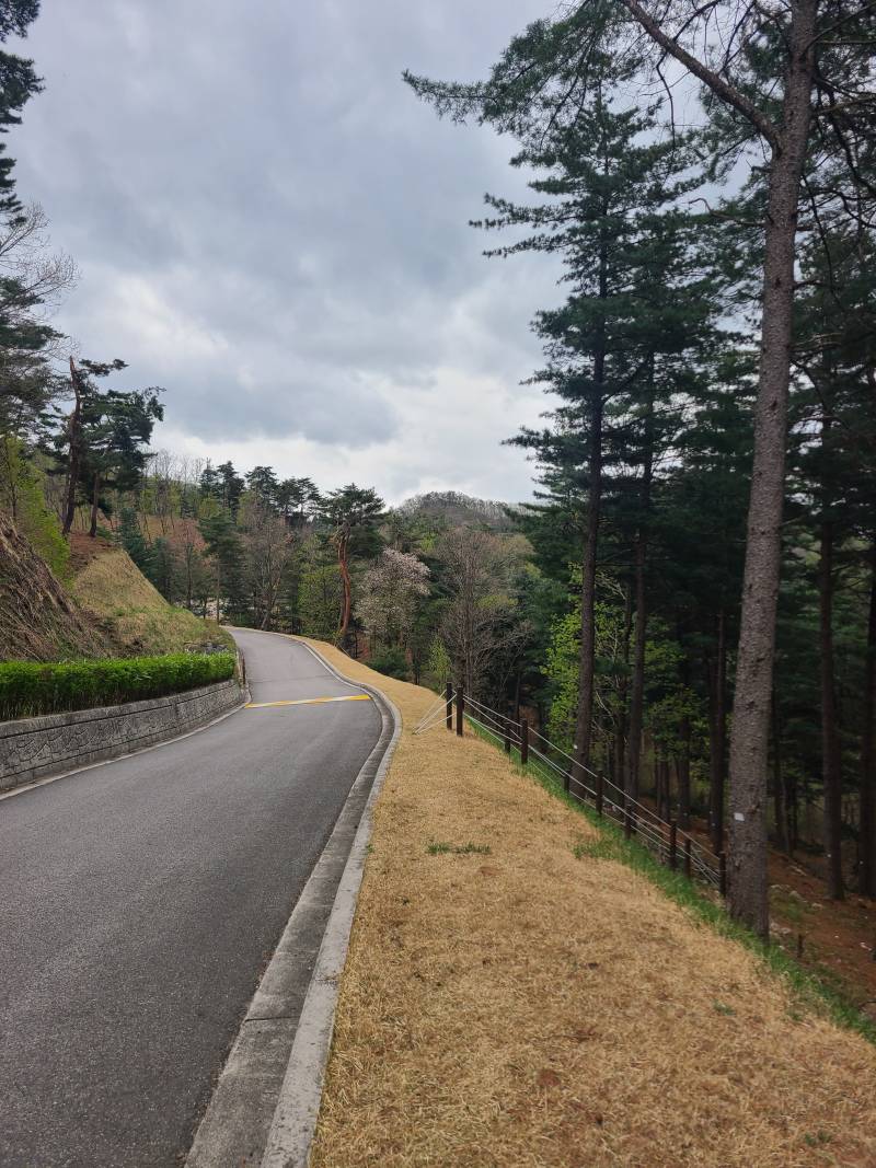 [잡담] 울아빠 추모원왓는데 여기만오면 산림욕하는 느낌임 | 인스티즈
