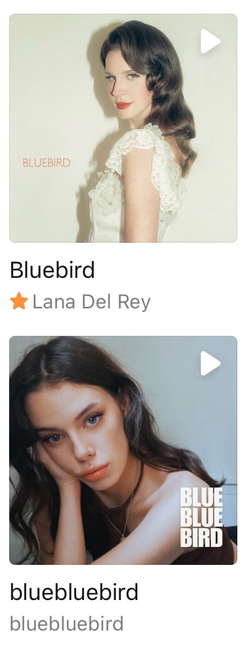 [잡담] bluebird에 뭐가 있나??? | 인스티즈