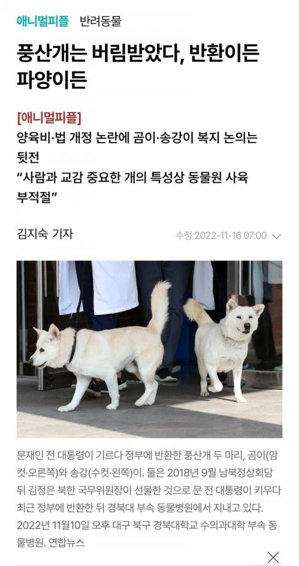문재인, 윤석열을 보는 언론들의 태도 변화 | 인스티즈