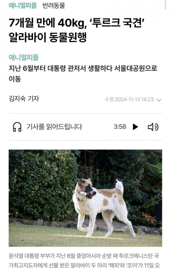 문재인, 윤석열을 보는 언론들의 태도 변화 | 인스티즈
