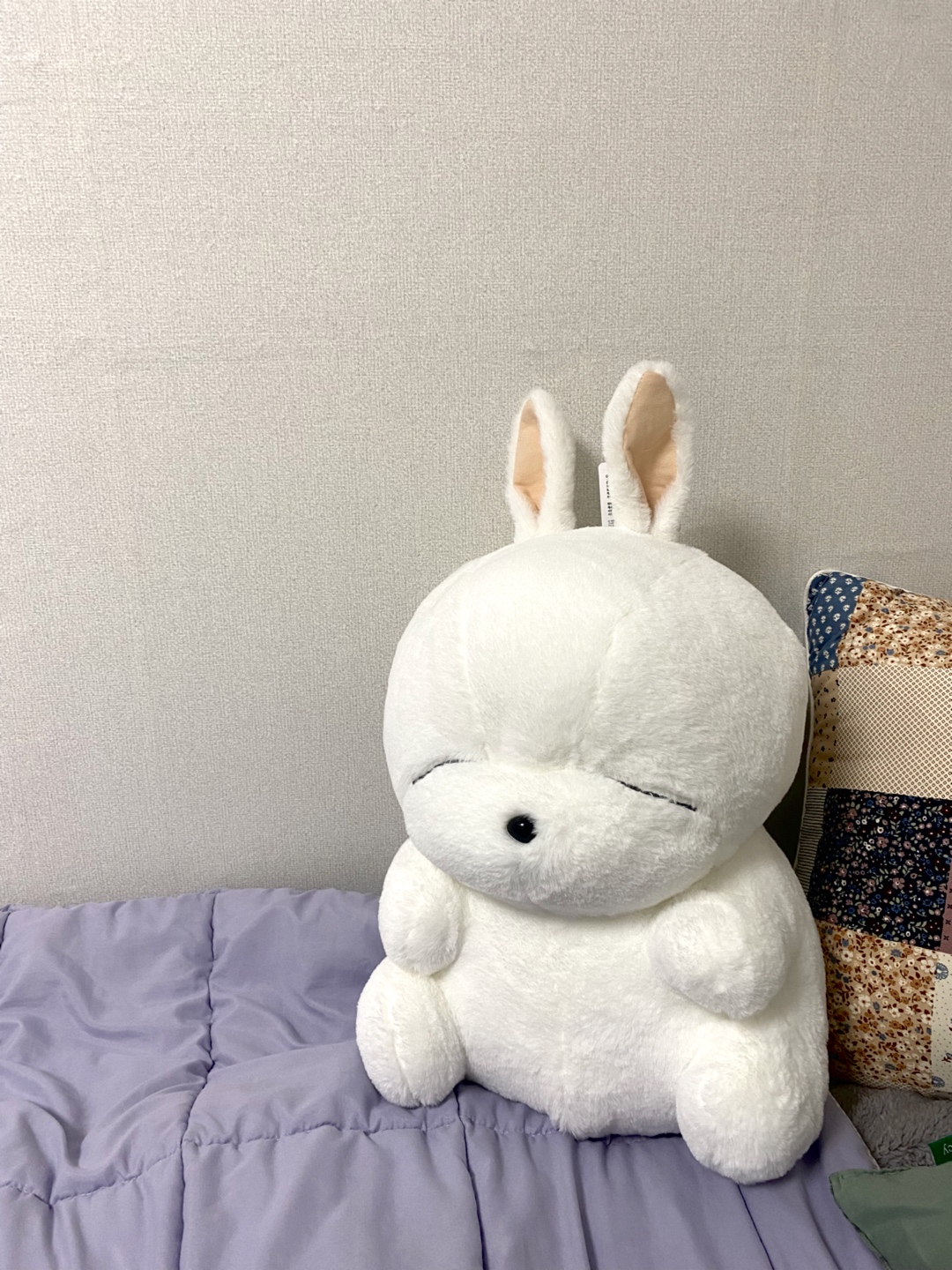 [잡담] 나 어릴땐 이 캐릭터가 유행 이였는데 추억.. | 인스티즈