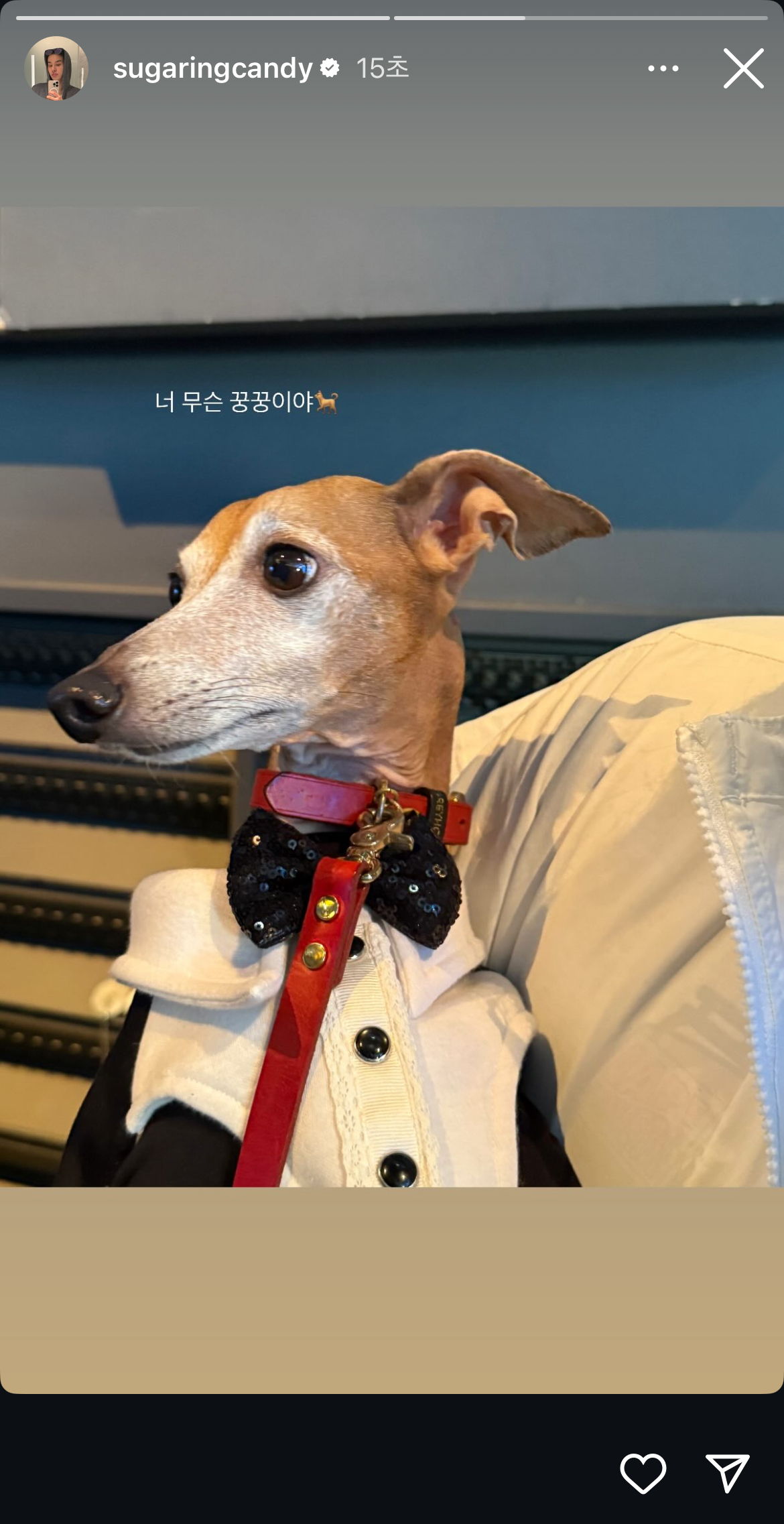 [잡담] 정우 오늘 음중가서 오랜만에 꿍꿍이 만났구나 ㅋㅋㅋㅋ | 인스티즈