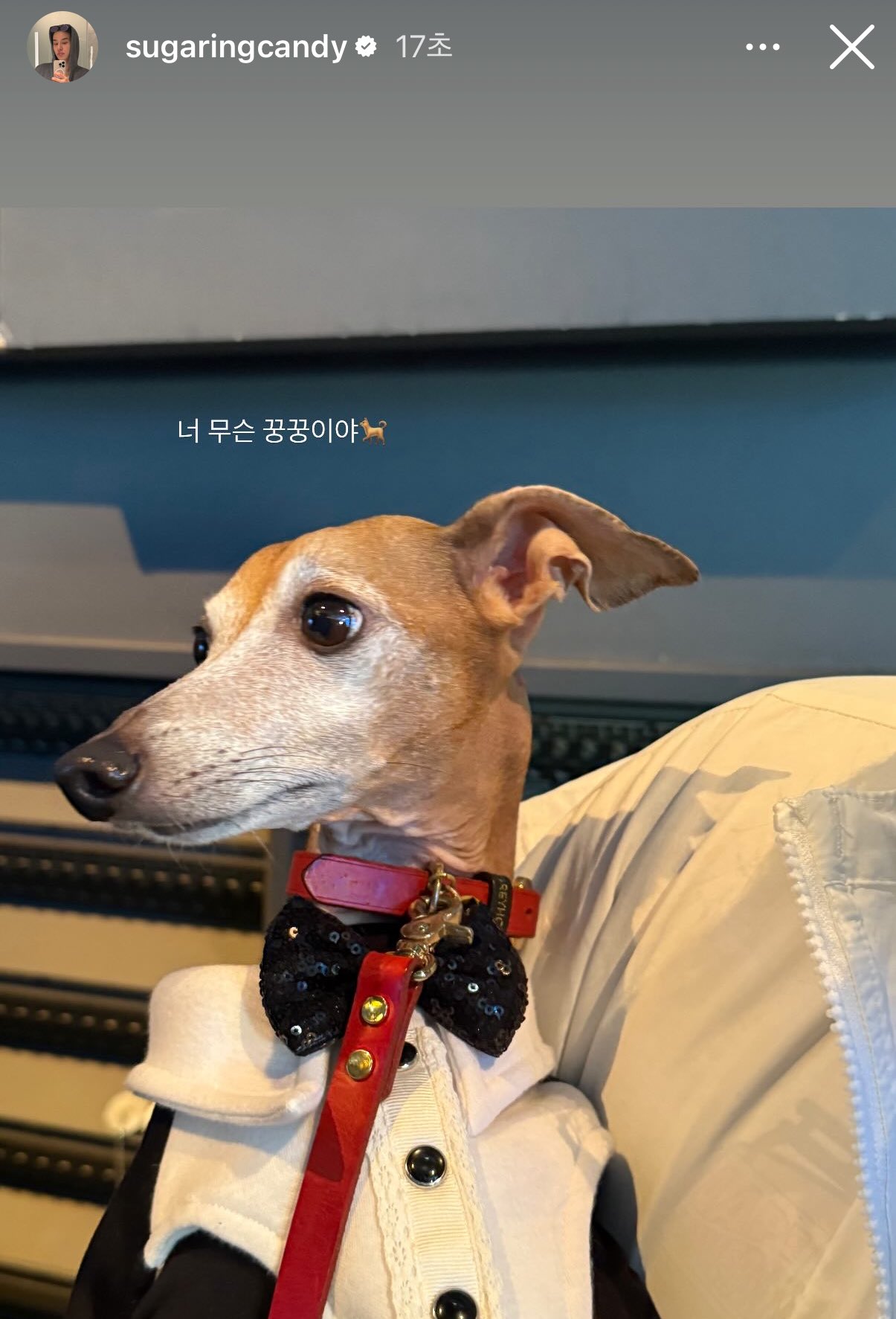 [잡담] 엔시티 정우가 오늘 실물로 본 두 왕자님 | 인스티즈