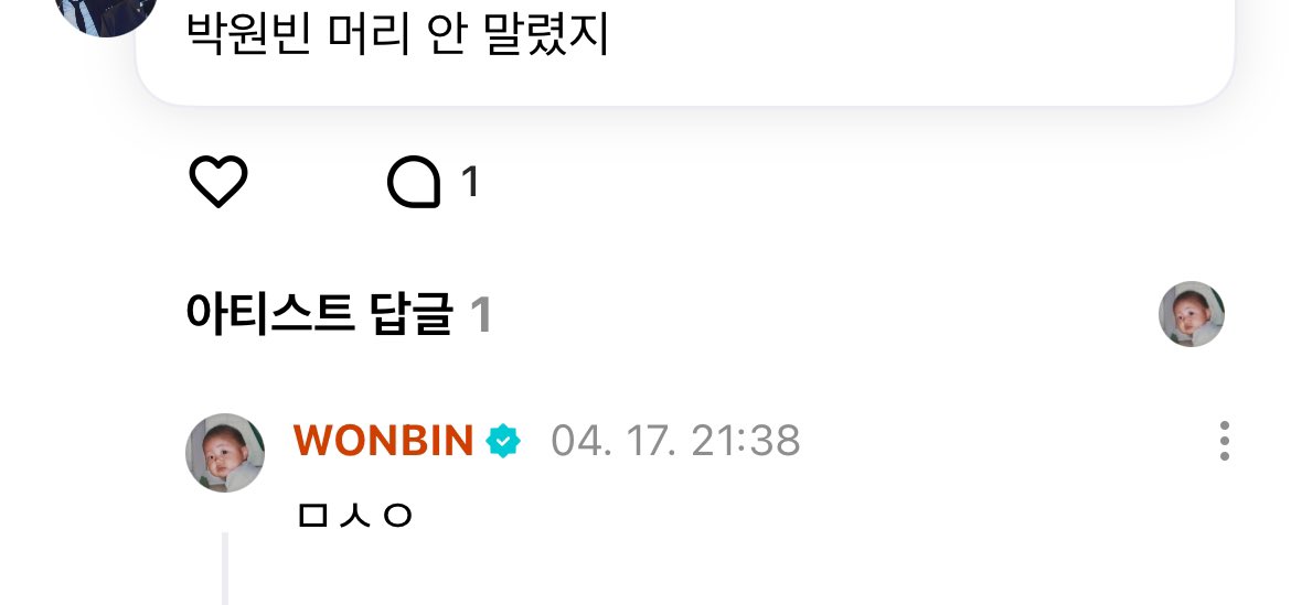 [잡담] 원빈이 무서워 = 정답입니다 | 인스티즈