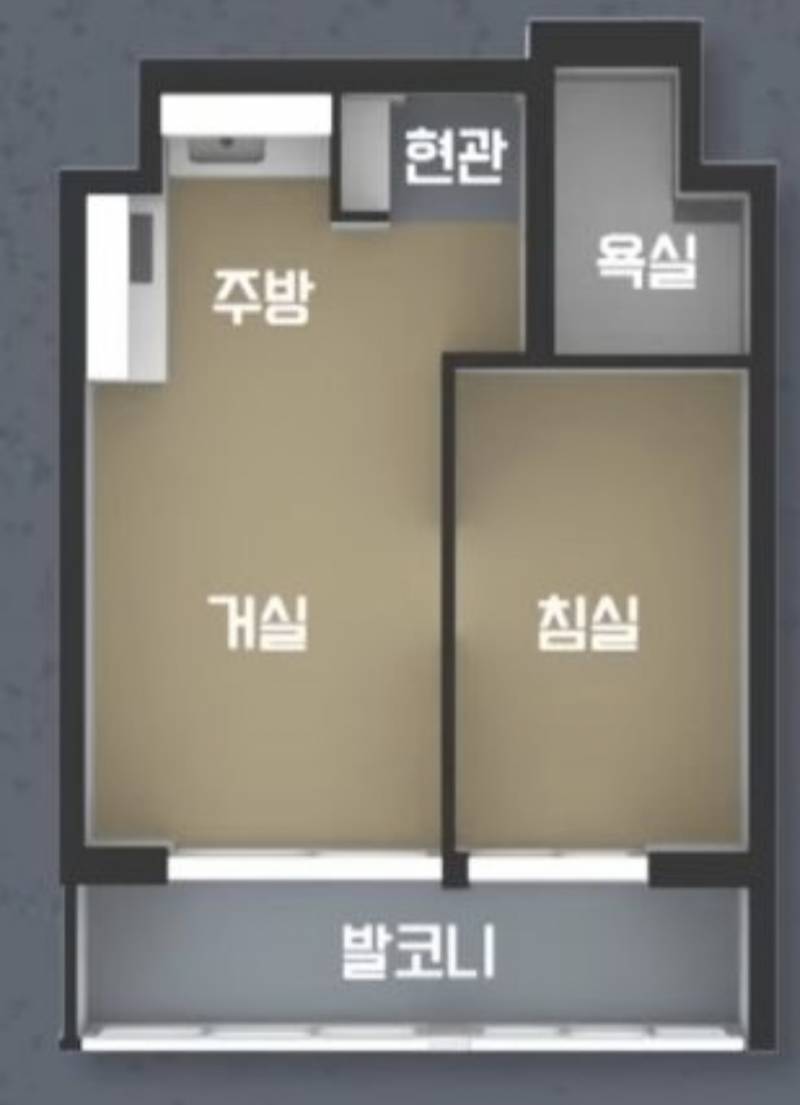 [잡담] 대충 이런 구조의 11평집이면 혼자살기에 | 인스티즈