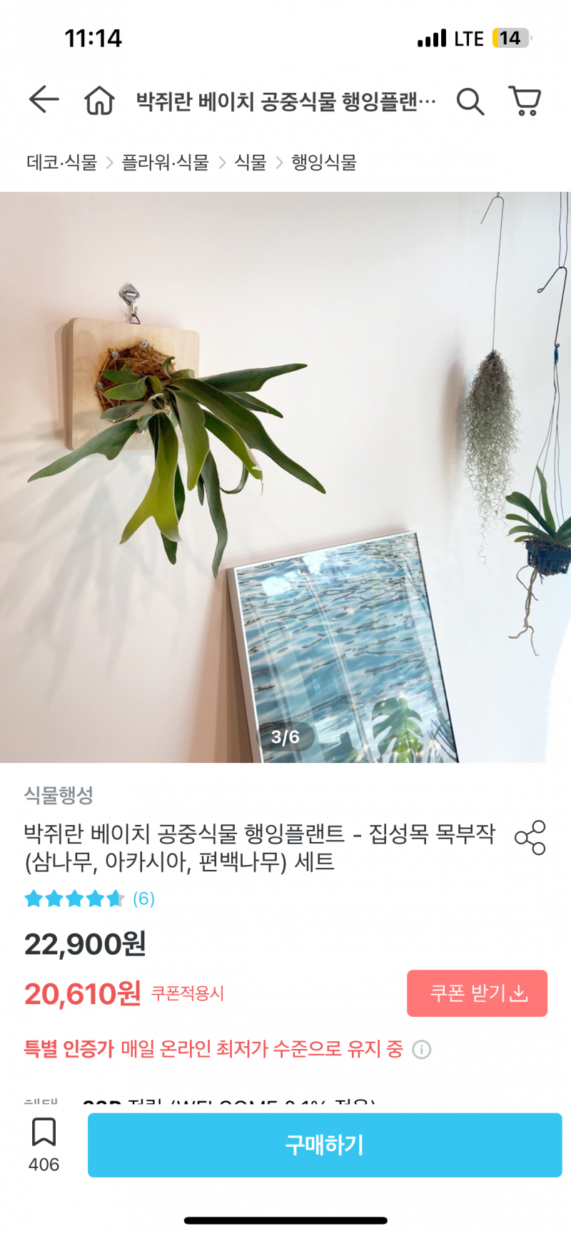 [잡담] 얘들아 플렌테리어 생각보다 엄청 매력있다 | 인스티즈