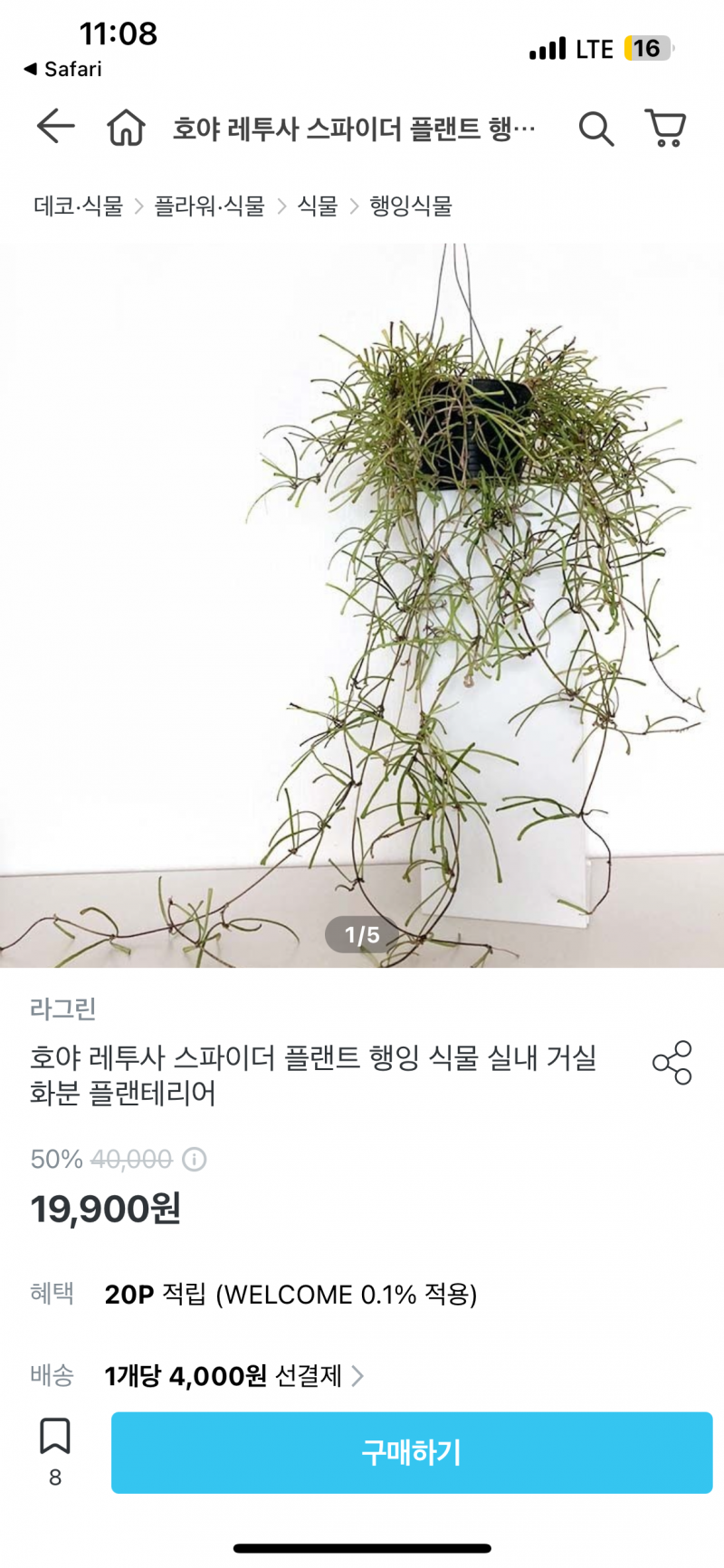 [잡담] 얘들아 플렌테리어 생각보다 엄청 매력있다 | 인스티즈