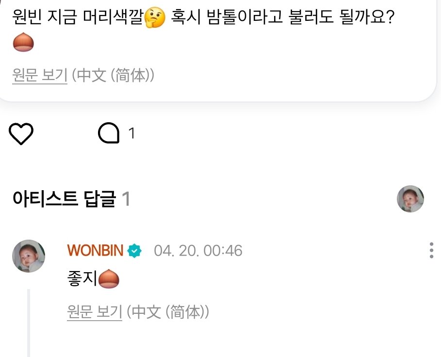 [잡담] 원빈이 밤톨 | 인스티즈