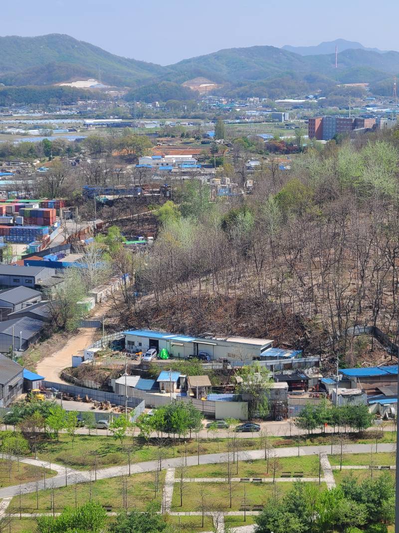 [잡담] 오늘 날씨 진짜 미쳤다... 심지어 공기도 좋음 | 인스티즈