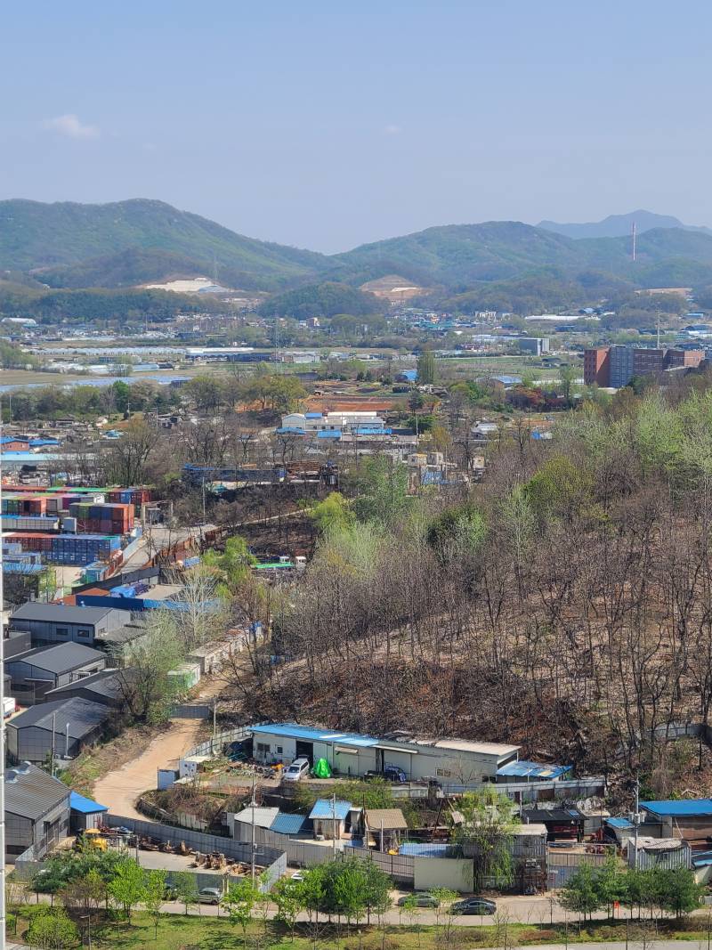 [잡담] 오늘 날씨 진짜 미쳤다... 심지어 공기도 좋음 | 인스티즈
