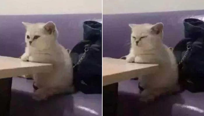 [잡담] 원빈 표정 | 인스티즈