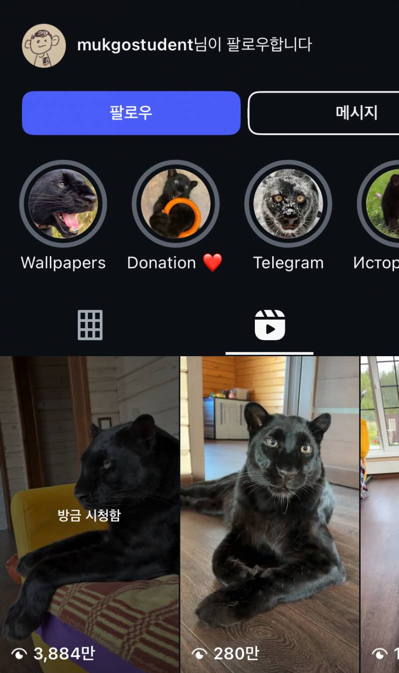 [잡담] 이게 무슨 동물이야? | 인스티즈