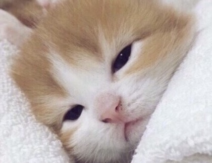 [잡담] 원빈 표정 | 인스티즈