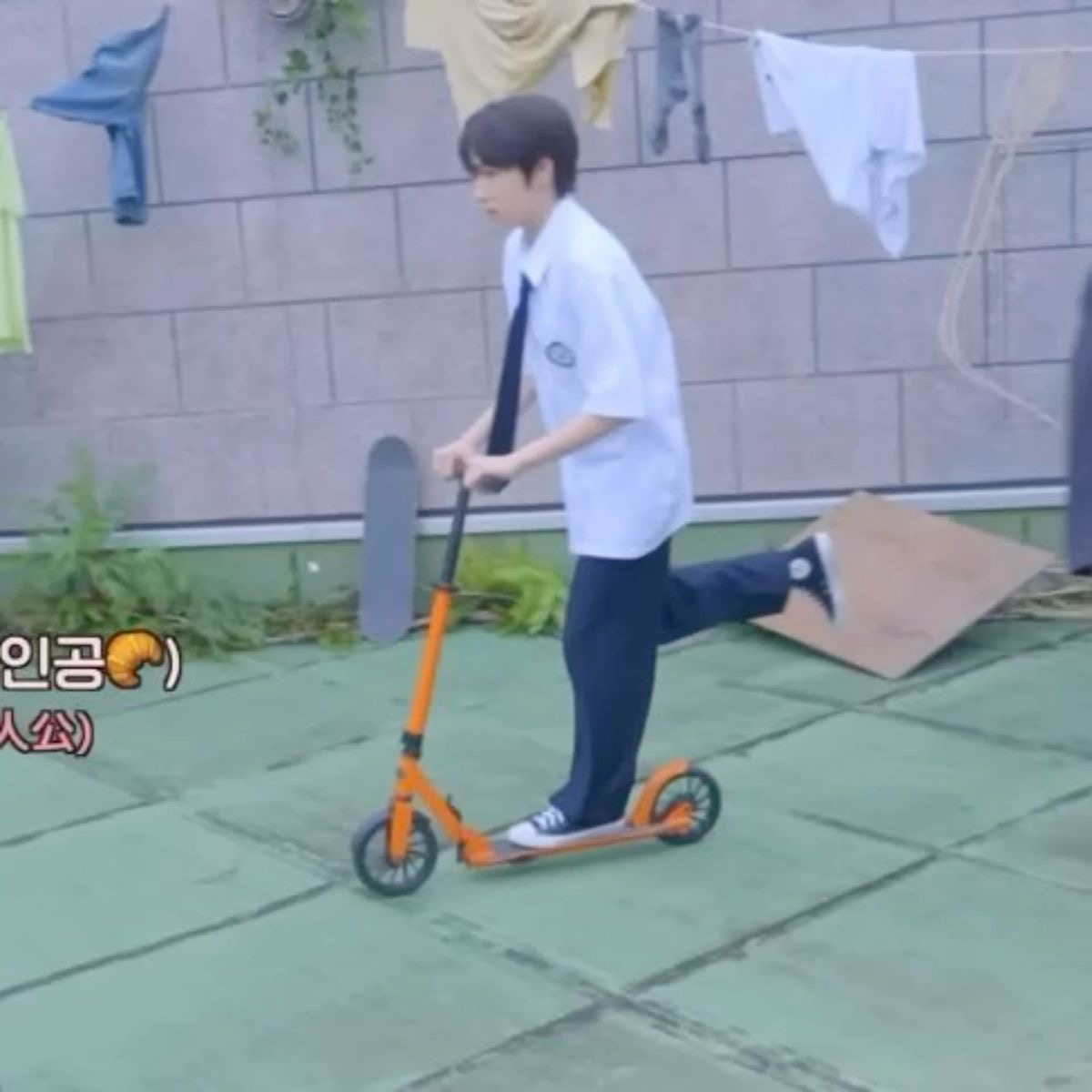 [잡담] 사쿠야 알면 알수록 비범한 아이 같애 | 인스티즈
