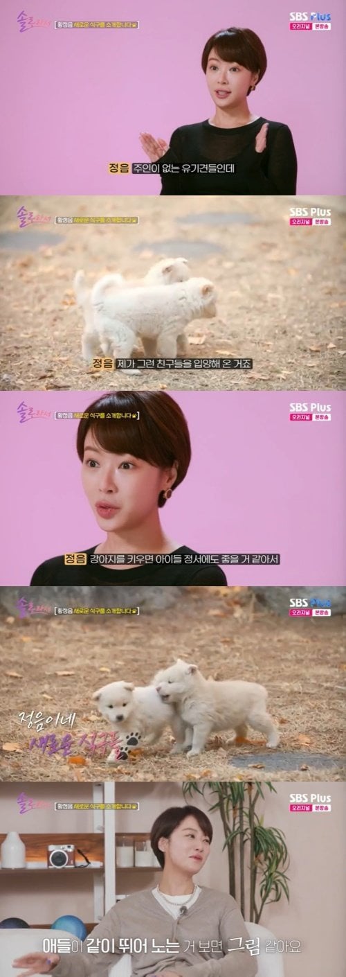 [잡담] 황정음 아들 둘, 강아지 둘 이름 | 인스티즈