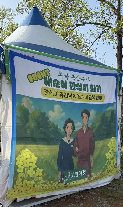 [잡담] 오늘 고창 청보리밭 축제했는데 애순 관식 옷 대여있음ㅋㅋ | 인스티즈