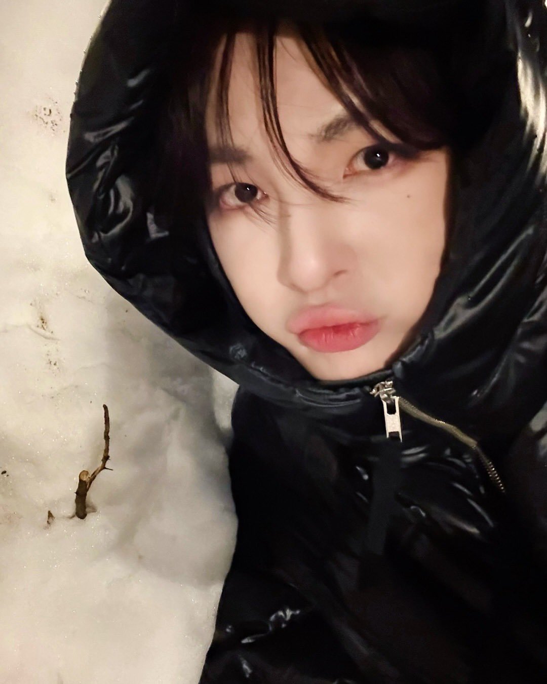 [잡담] 봄토끼VS겨울토끼 | 인스티즈