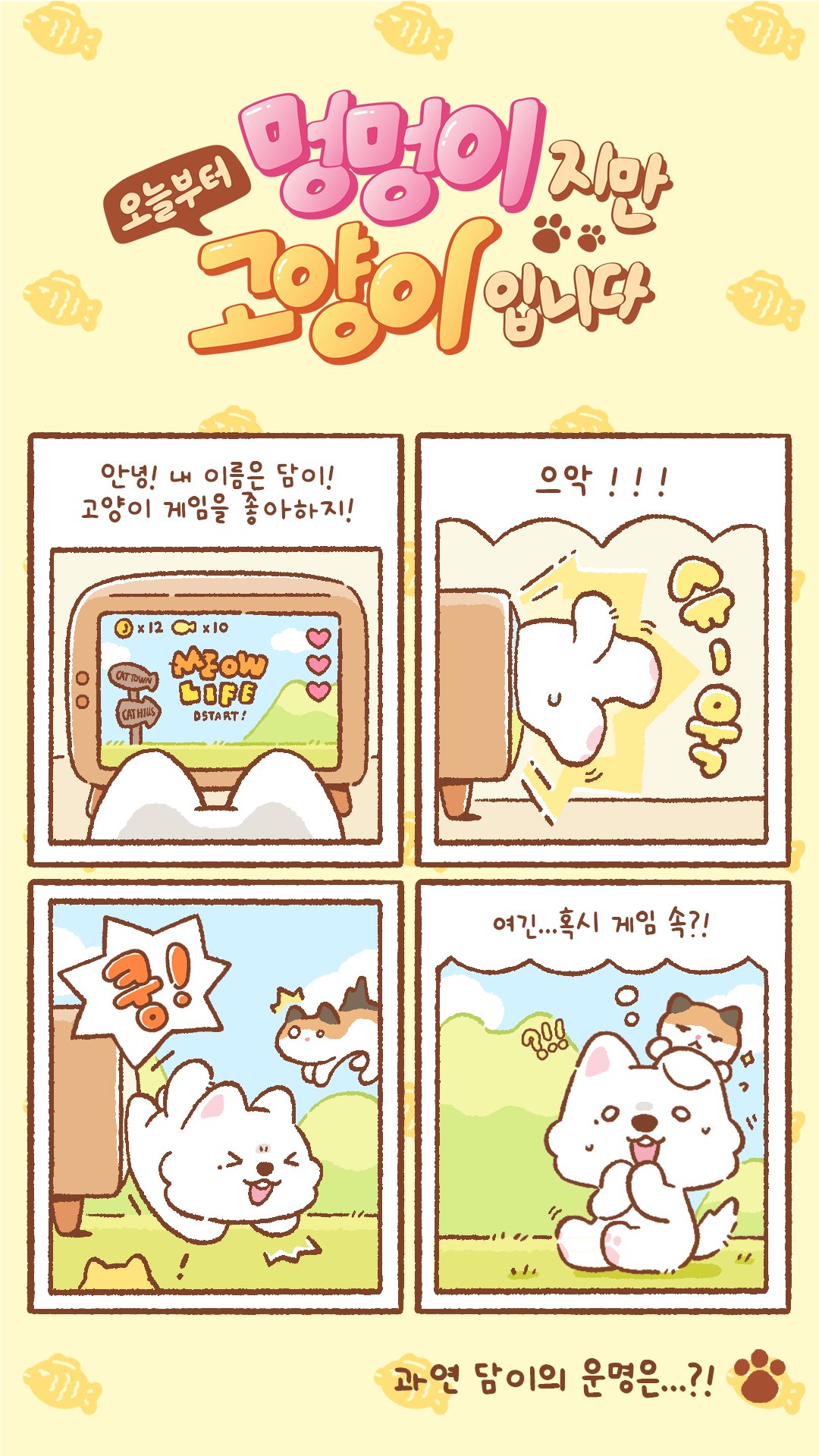 [잡담] 강다니엘 고양이라고 빡빡 우기는거 포기했나봐 | 인스티즈