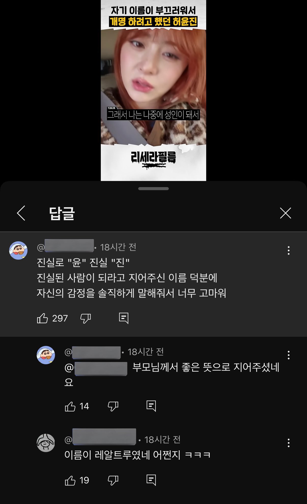 [잡담] 연예인들은 이름 뜻부터 남다른거같아 | 인스티즈