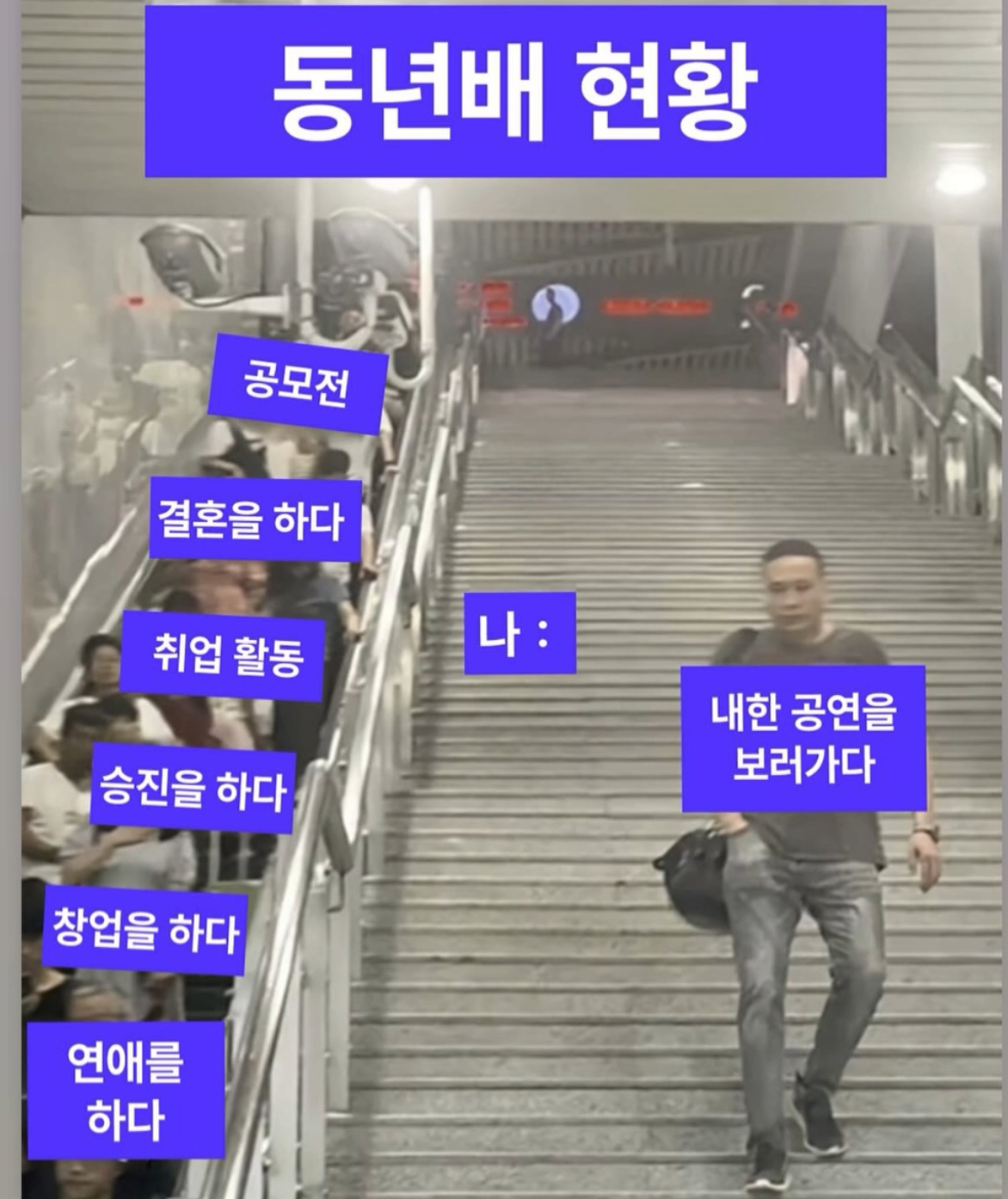 [잡담] 콜드플레이.. 아이묭.. 타일러.. 트래비스스캇… 싸그리예매했는데 | 인스티즈