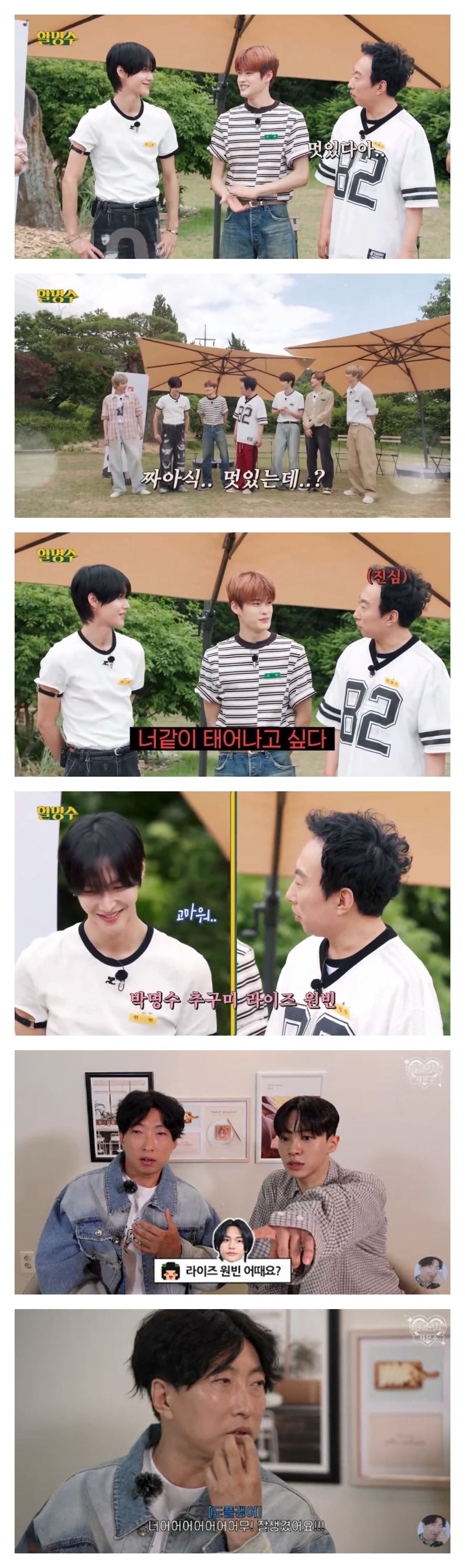 [잡담] 원빈이 오늘 같은 헤메코로 소취 중인 예능들 | 인스티즈