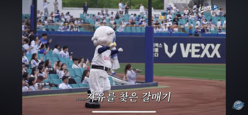 [잡담] 삼튜브가 누리 대머리 찰지게 놀리네ㅋㅋㅋ | 인스티즈