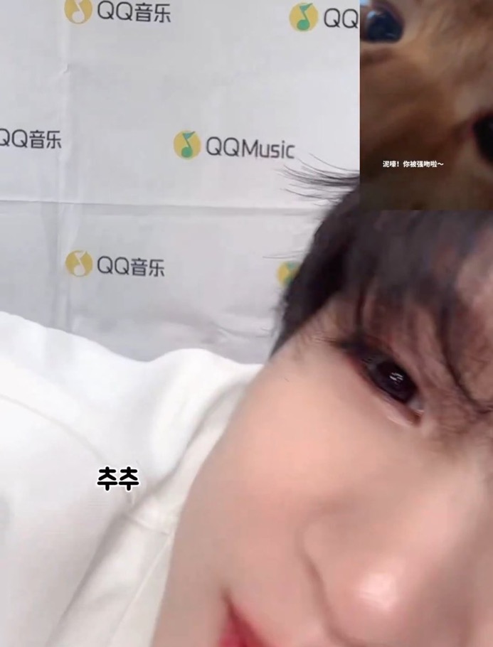 [잡담] 공부하기 시러 | 인스티즈