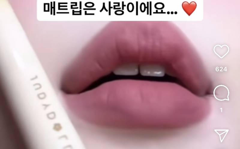 [잡담] 이런 색깔 립 추천좀 ㅠㅠ | 인스티즈